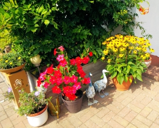 Ferienwohnung 2